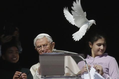 Envol d'une colombe devant le pape Benoît XVI